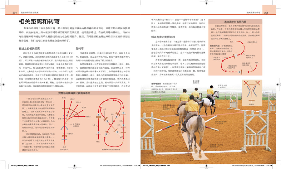 插图 (9).jpg