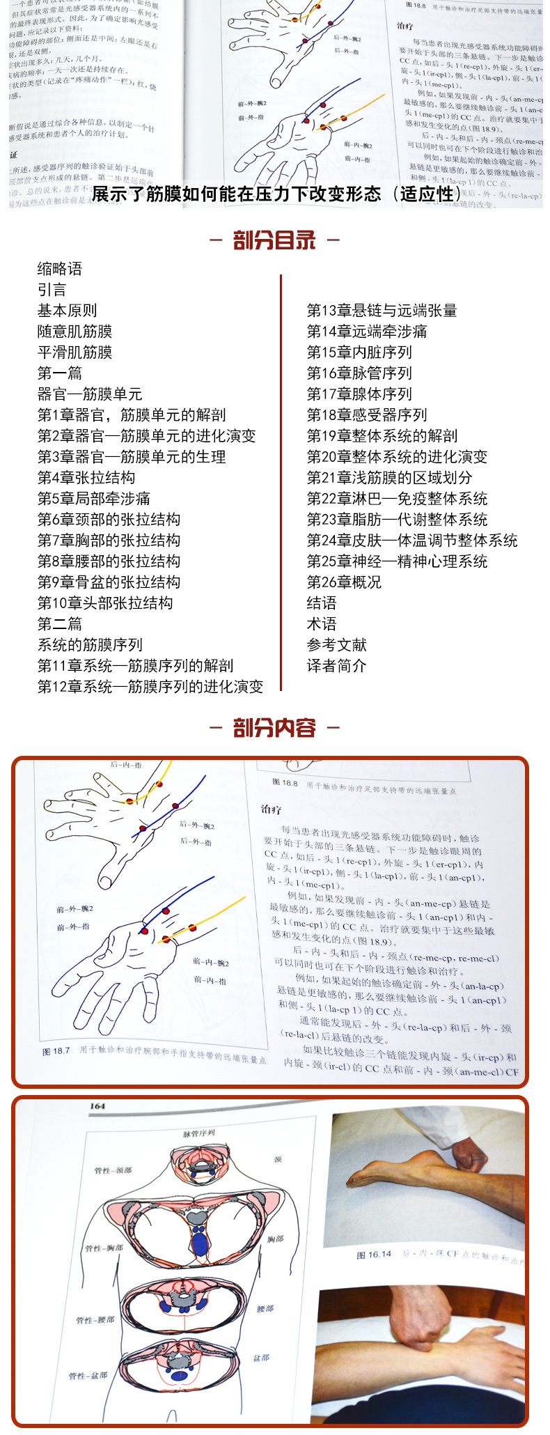 详情-04.jpg