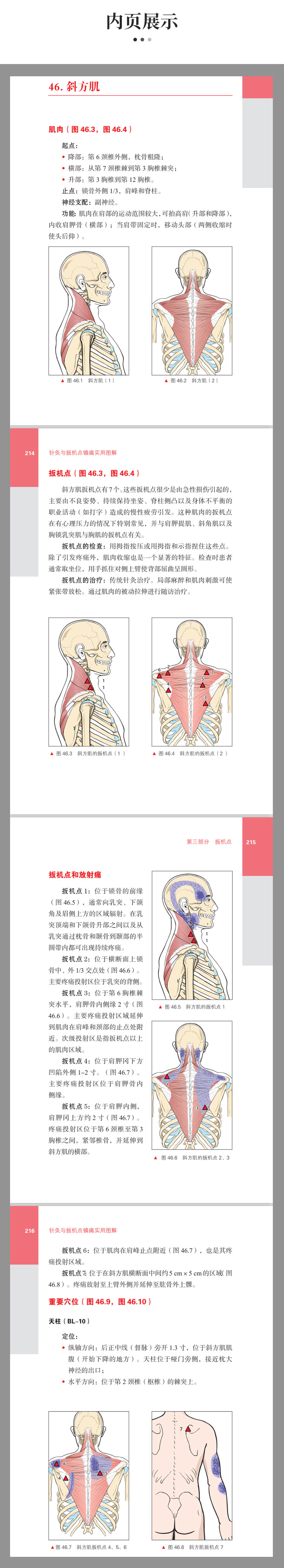 详情-05.jpg