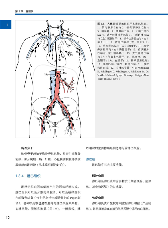 详情-01.jpg