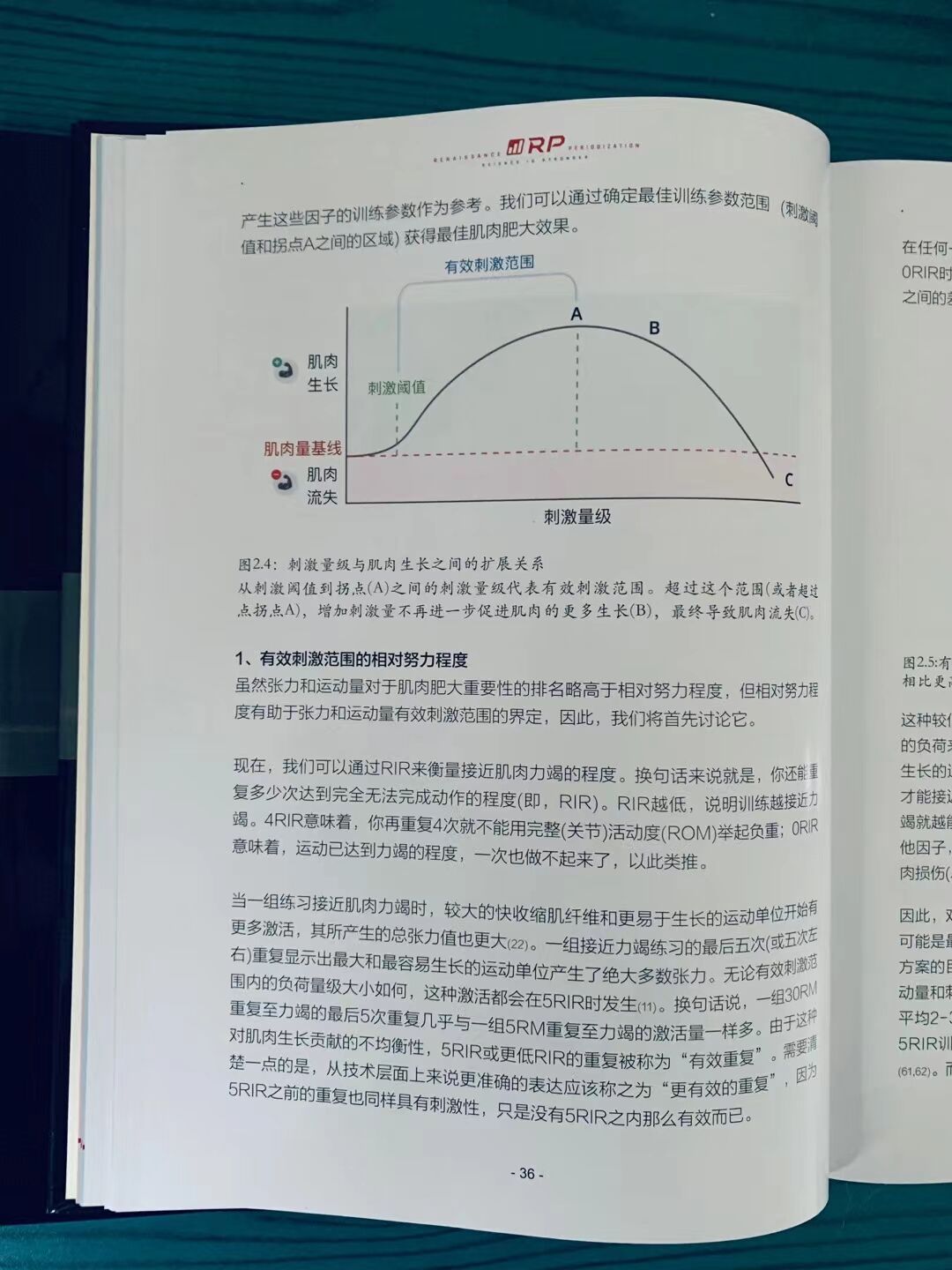 1651143202943033.jpg