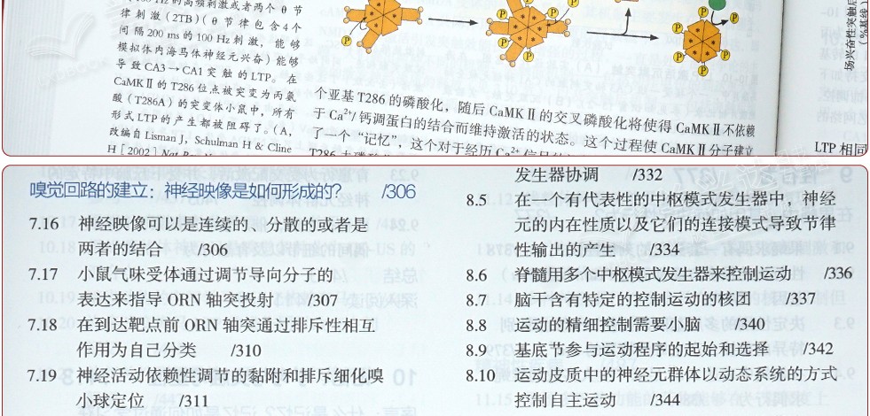 1655190266220521.jpg