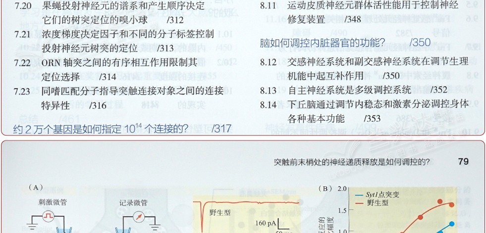 1655190266803720.jpg
