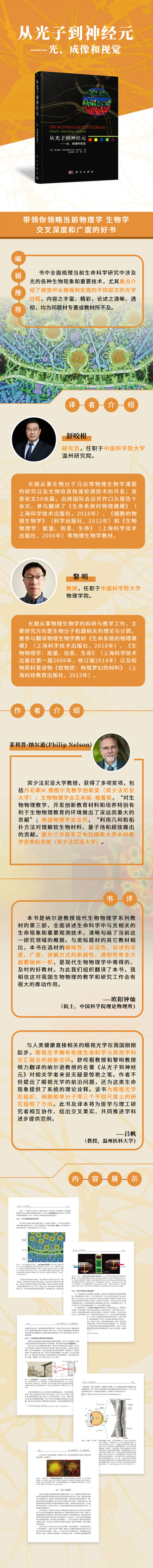 详情-01.jpg