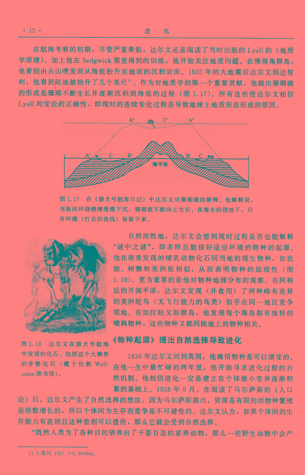 1656904447493625.jpg