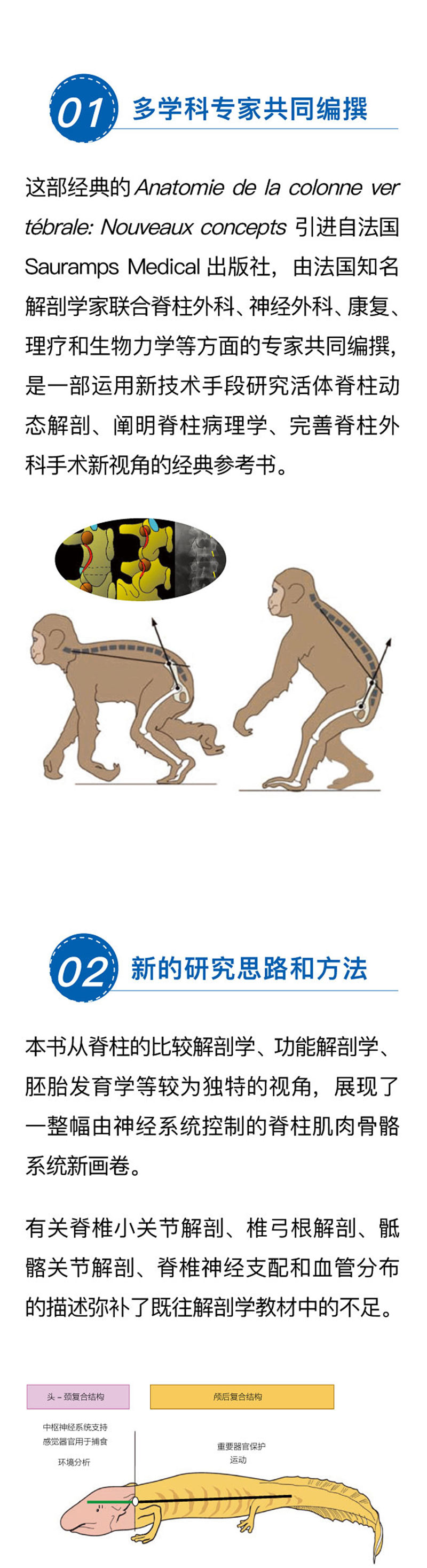 详情-02.jpg