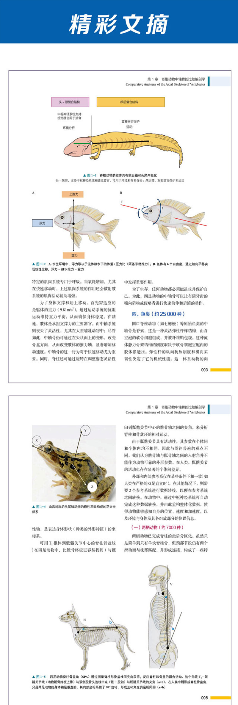 详情-03.jpg