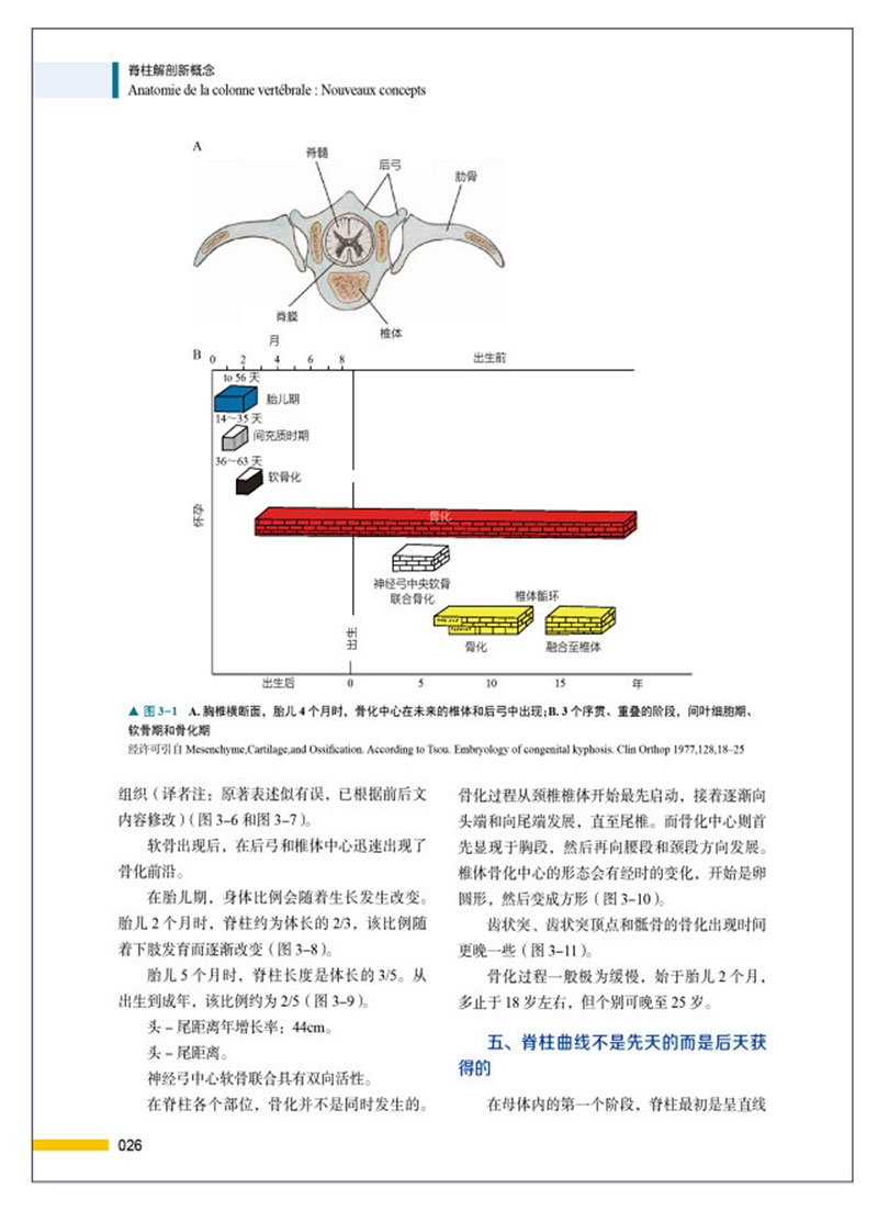 详情-04.jpg