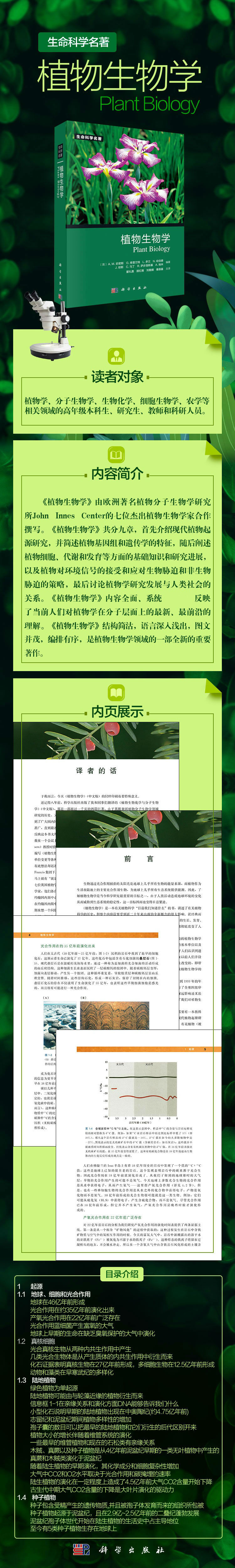 详情-01.jpg