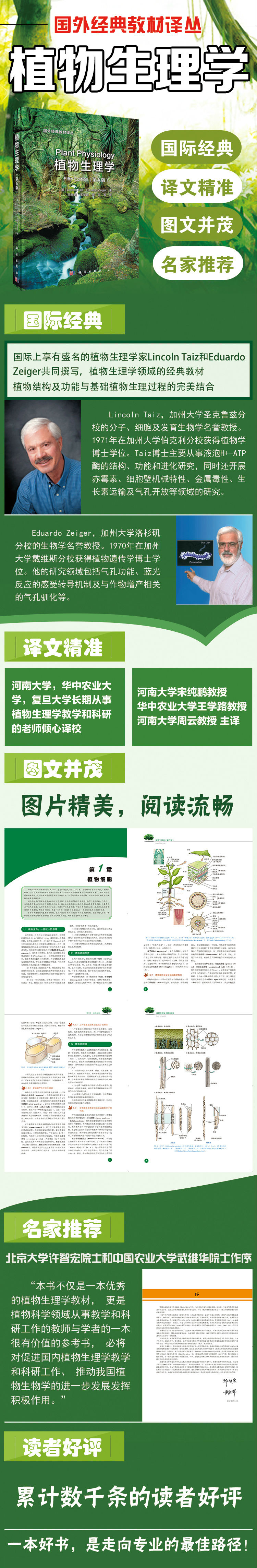 详情-01.jpg